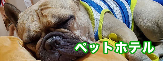 ペットホテル(お泊り保育)