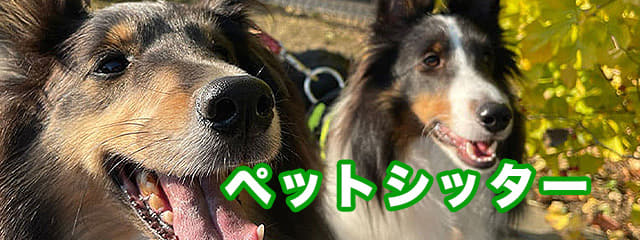 ペットシッター (お散歩代行)