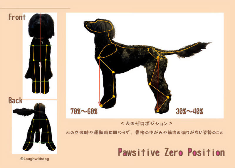Pawsitive Zero Posision